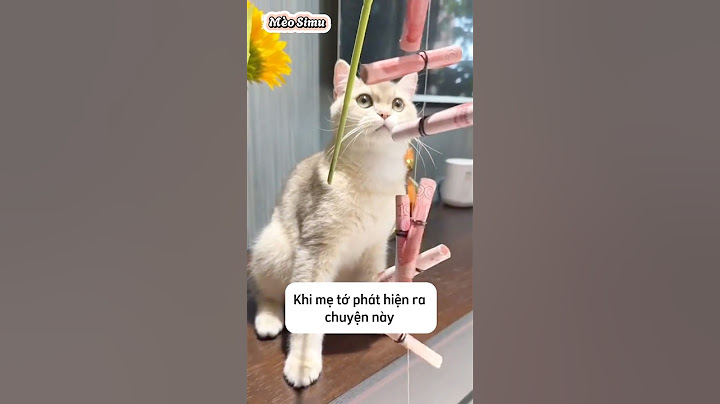 Thám tử Tiểu Lục phát hiện quỹ đen của bố #shorts