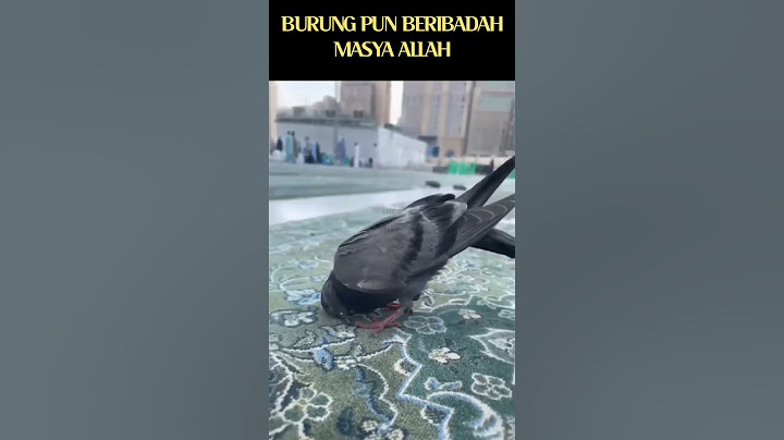 BURUNG PUN BERIBADAH MASYA ALLAH
