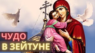 Чудо в Зейтуне. Чудесное явление Богородицы в Зейтуне и исцеление людей. Чудо в Зейтуне. Чудесное явление Богородицы в Зейтуне и исцеление людей.