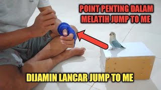 CARA MUDAH MELATIH BURUNG LOVE BIRD SKIIL JUMP TO ME screenshot 2