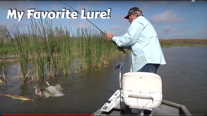 As Seen On TV lures catch BIG BASS! (feat. the Walking Worm and Alex  Langner's Flying Lure) 