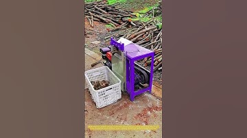 Smart Replanting: Homemade Machine for Cutting Tree Trunk