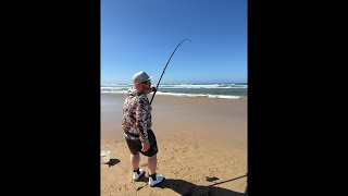 Zoo Look Fishing is live fighting Bronze whaler