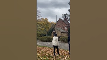 #shorts Fall in Australia 🇦🇺/ Cảnh đẹp mùa thu ở Úc 2023