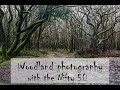 Woodland photography with the nifty 50