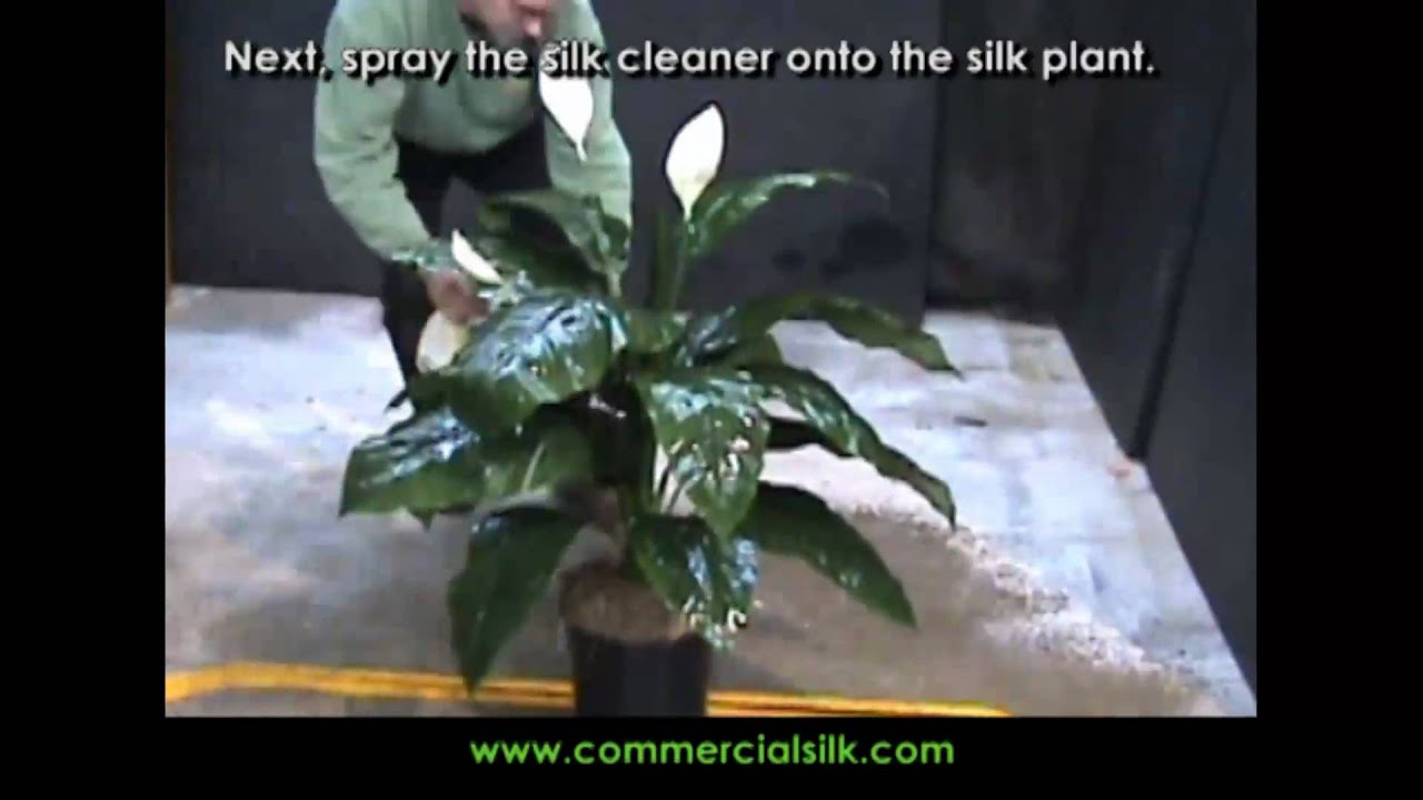 How to Clean Silk Plants 