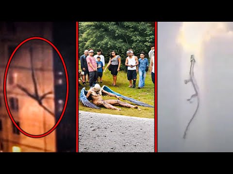 If These Mythical Creatures Were Not Filmed No One Would Have Believed Them...!!!
