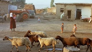 Xayın Felek - Çok Dertli Kürtçe Eserler Harika.. Stranen Kurdi.. Resimi