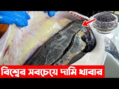 ভিডিও: বিশ্বের কোন দেশে সবচেয়ে সুস্বাদু খাবার রয়েছে?