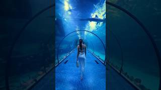 😍 Most beautiful ✨ places 💫 on earth #naturelovers#nature#shortsfeed#world#beautiful