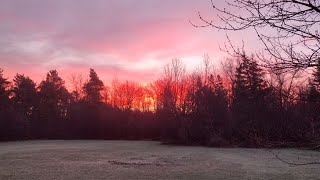 Send It To 7 Pics of the Week