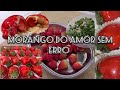 Aprenda a fazer Morango do amor sem segredos e todos os truques
