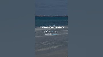 تلاوة خاشعه ـ سورة النحل