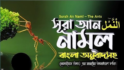 027) সূরা নমল -Surah An-Naml | অনুবাদ سورة النمل পিপীলিকা |Abbadi Houssem Eddine|#history_of_islam