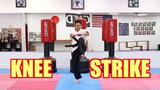 KARATE Lesson 15 - Knee Strike