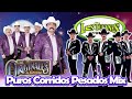 Los Tucanes De Tijuana vs Los Originales De San Juan Exitos Narco Corridos Mix