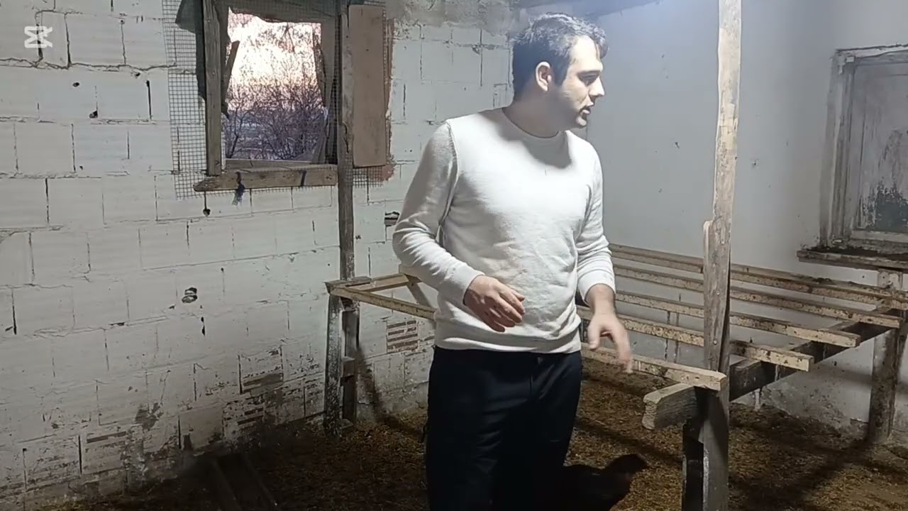 Tavuklarımız gelmeden önce kümes hazırlığımız .