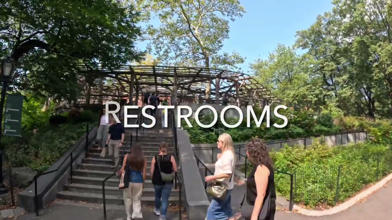 Walking from fifth Avenue to Central Park