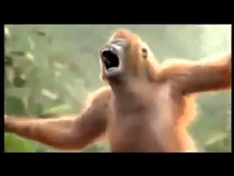 Monyet Galau Version Cita Citata