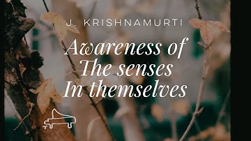 J. Krishnamurti | Awareness of the senses in themselves | immersive pointer | piano A-Loven