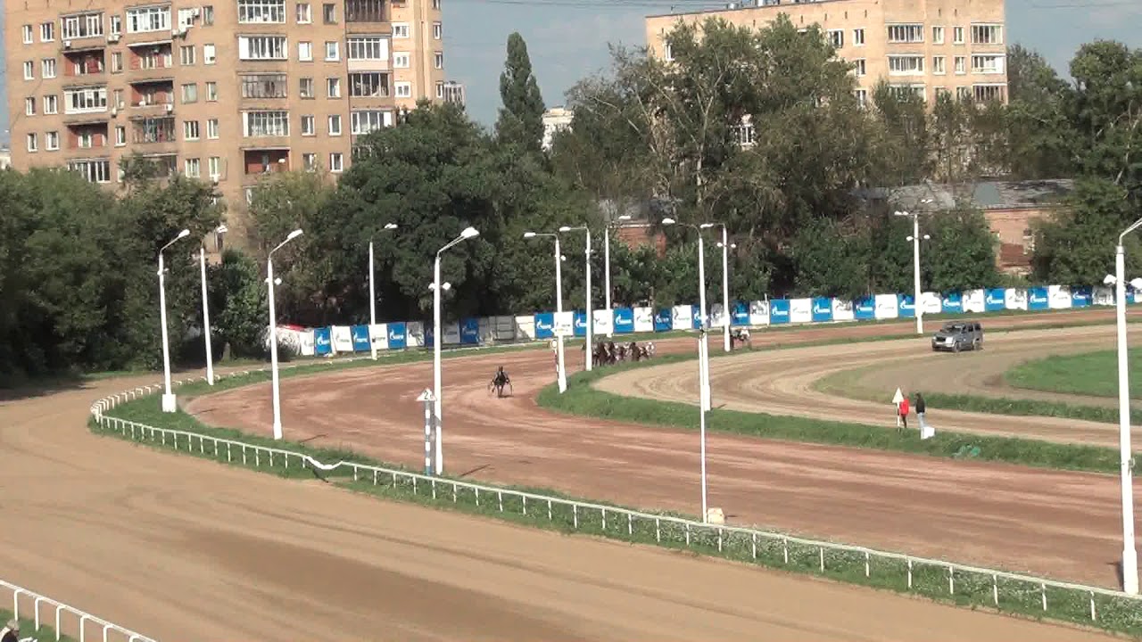 Заездов 6. Заездов 6