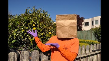 Clyde Sapere  - Back Up Your Hard Drive