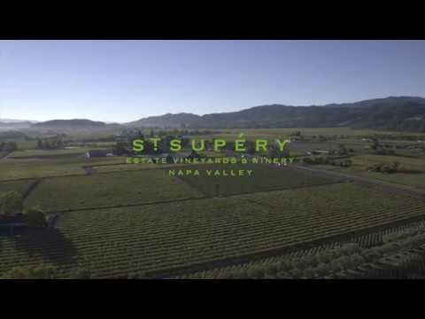 St. Supéry: Rutherford Estate Vineyard
