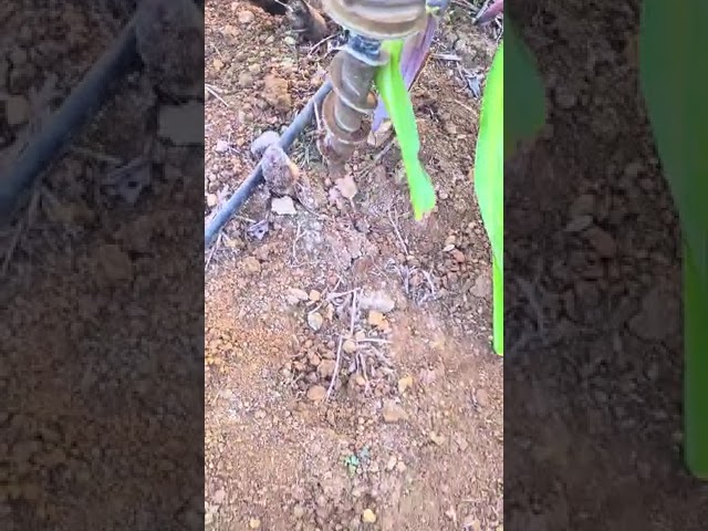 (Earth Auger) Ground Drilling Attachment for Brush Cutters