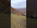 гарні гори чудові краєвиди гір Карпат #природа #nature
