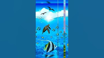 انه القرآن الكريم خذ من وقتك دقيقة واحدة فقط