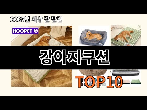 강아지쿠션 알리익스프레스 베스트셀러 꿀템 BEST 10