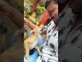 Cute puppies #love #dog #dogs #youtubeshorts #shortvideo 🐕🦺🐕🦺👌👌