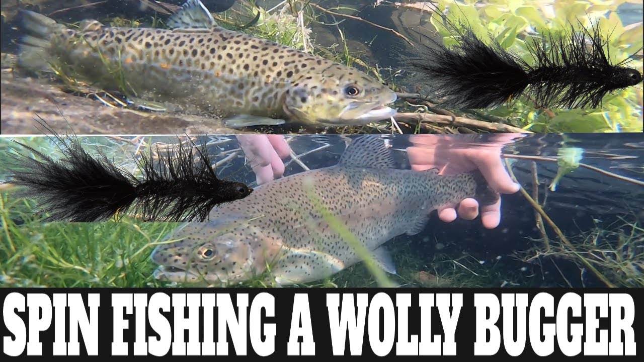How To Catch Trout On Woolly Bugger Streamer: Fly Fishing On