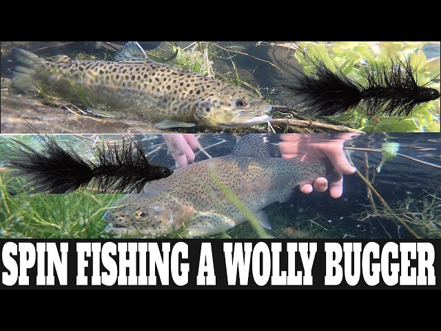 How To Catch Trout On Woolly Bugger Streamer: Fly Fishing On Spinning Gear  
