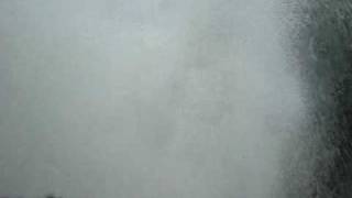 MOV08342