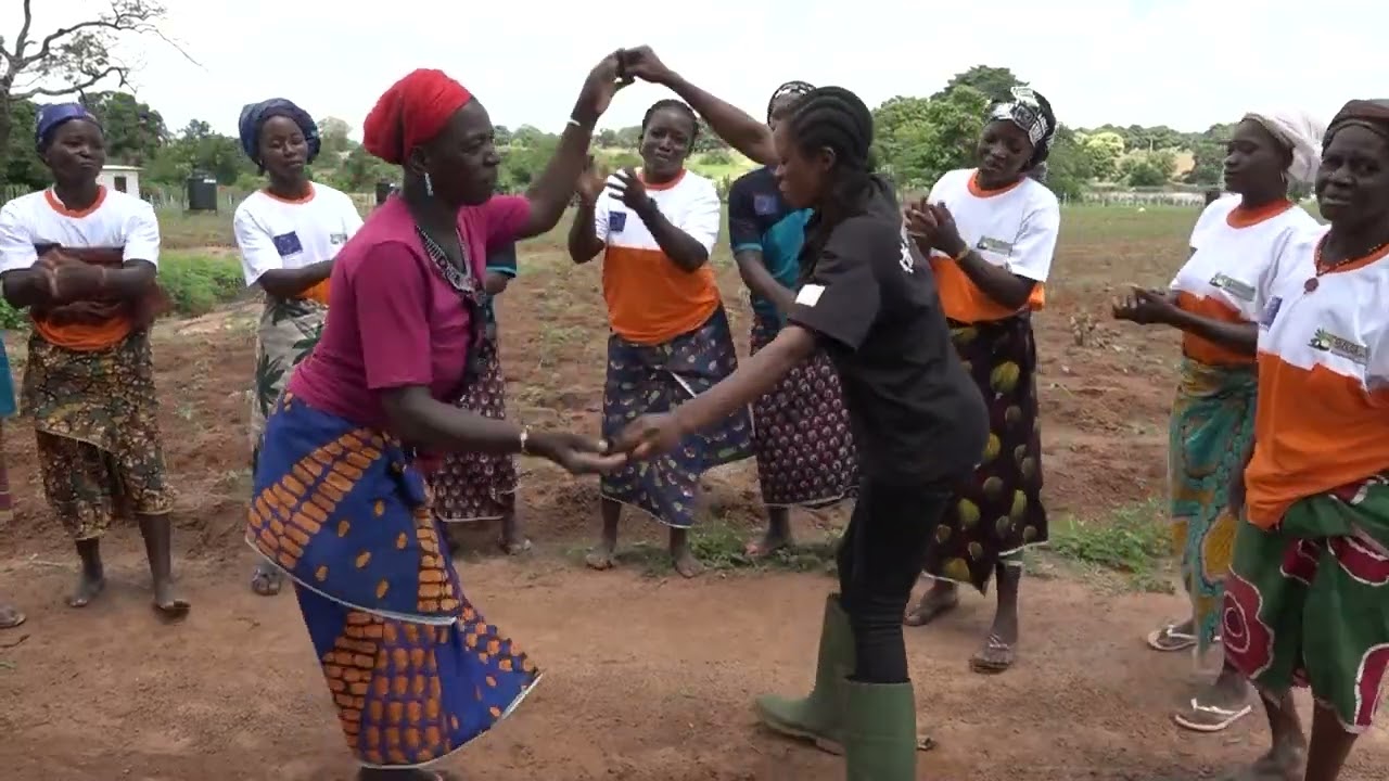 Récolte abondante de légumes au sein des groupements bénéficiaires du projet PRO2M