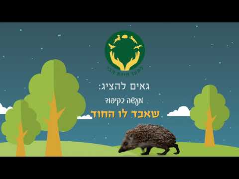 מעשה בקיפוד שאבד לו החוד 🦔