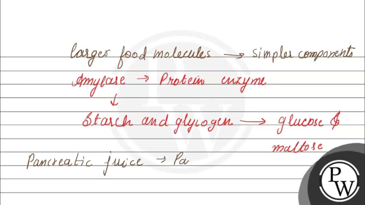 The enzymes responsible for the digestiion of starch in food of man is