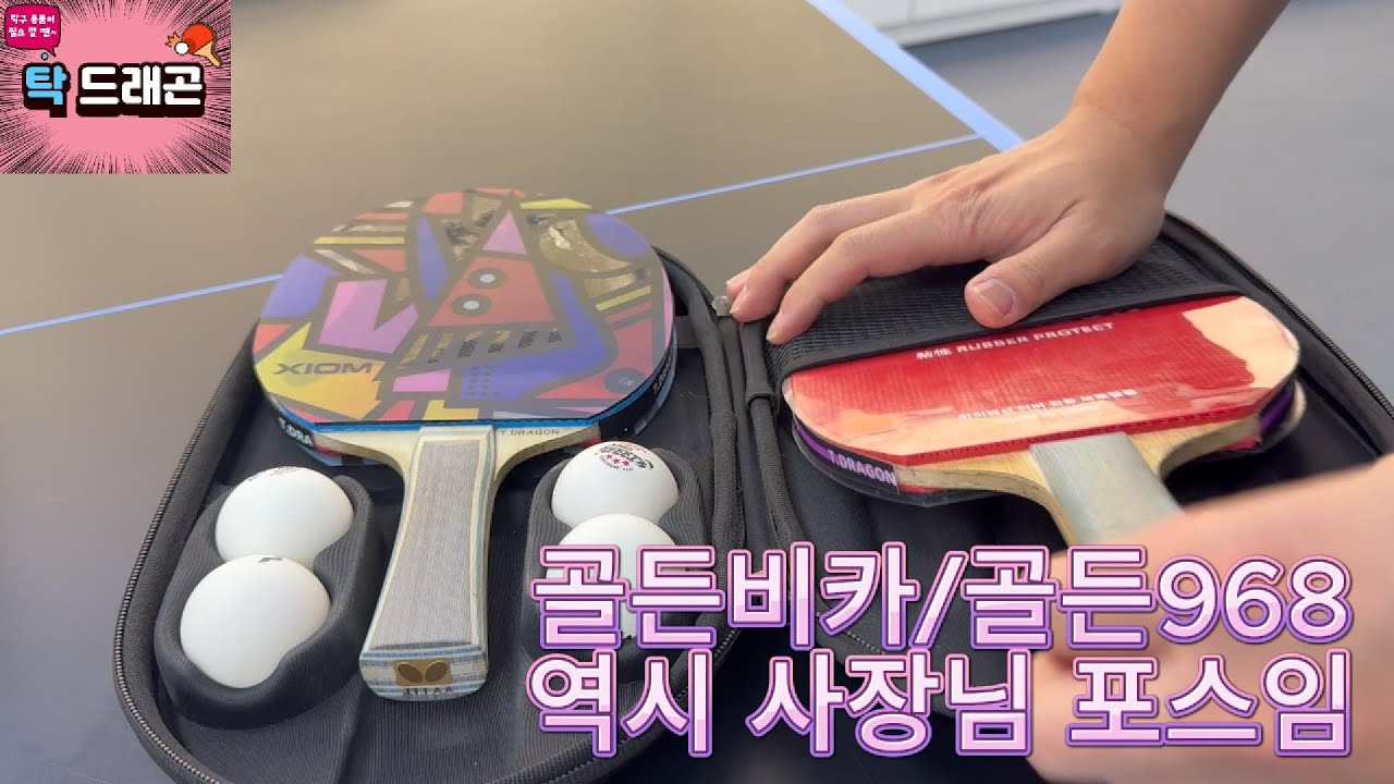 탁드래곤에 놀러왔어요