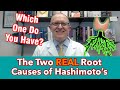 The Two REAL Root Causes of Hashimoto