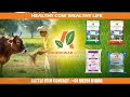 🐄💵 A Healthy Cow is a Wealthy Cow 💰: Unlock Dairy Success! || Adheshwar Agro || Cattle Feeds
