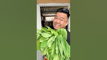 Happy banget ketemu daun ubi ini sanak 🥰