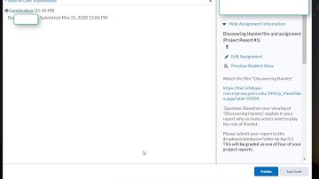 Grading assignments in Brightspace