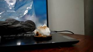 A final shot of an Oreo cookie with Peanut Butter, Whipped Topping and Cinnamon 12-8-25 !!!!!!!!!!!!