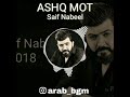 AshqMot bgm _feat Saif Nabeel