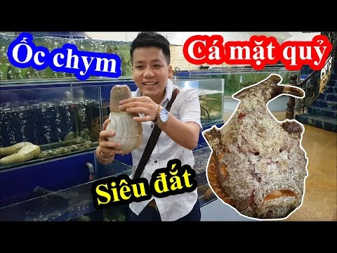 Hai lúa cháy túi vì ăn Cá Mặt Quỷ siêu đắt và cái kết ngứa sưng tay - Ăn vào có bị sao không