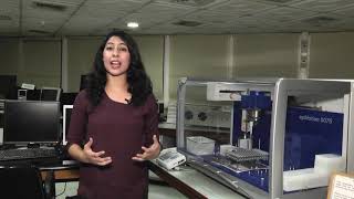 Genes And Our Characteristics