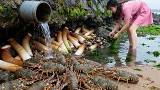 Xiao Zhang Stumbled Upon A Lobster Nest, And There Was Even A Geoduck Spitting Water.