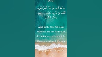 سورة الجاثية من الأية 11 الى 13 محمد أيوب