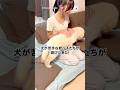 犬が少し苦手な姪っ子たちが家へ来た時の様子｜PECOのサムネイル